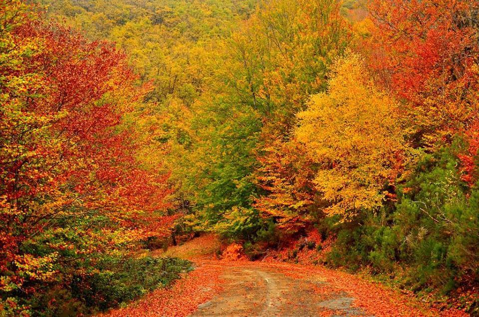 Camping Riaza Dış mekan fotoğraf